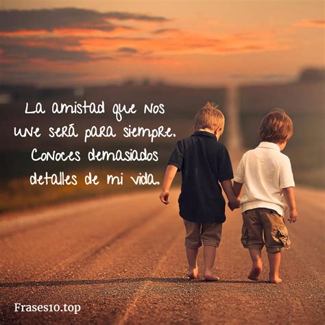 Frases Divertidas Sobre La Amistad Y La Vida