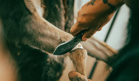 Best Skinning Knife For Deer Knife Informer