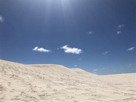 Sand Dunes, Lancelin. : perth