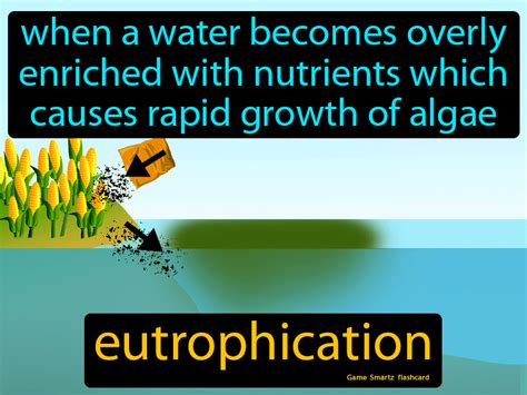 Eutrophication