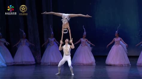 Swan Lake An Acrobatic Ballet Performance Youtube