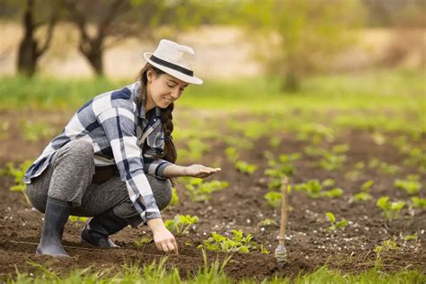 How to Prepare the Soil for Planting - Yard Sumo