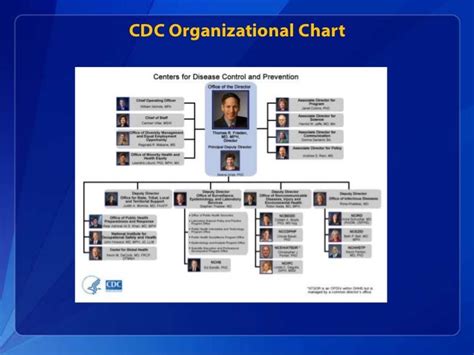 Cdc Organizational Chart: A Visual Reference of Charts | Chart Master