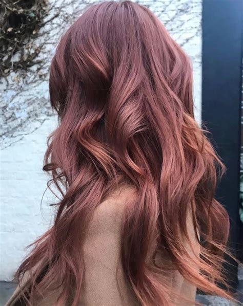 rose brown  perfect hair color trend  brunettes cabelo rose