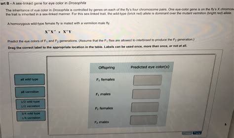 Solved A Sex Linked Gene For Eye Color In Drosophila The