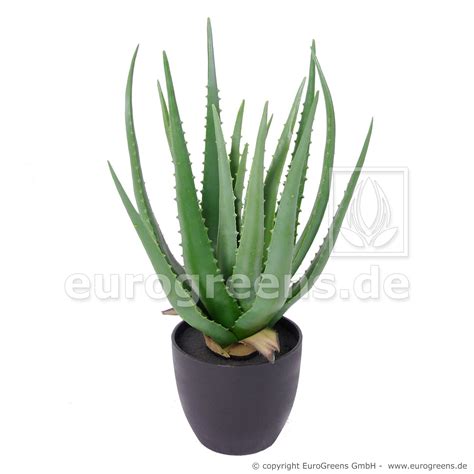 künstliche Aloe Vera ca 45cm mit Ziertopf