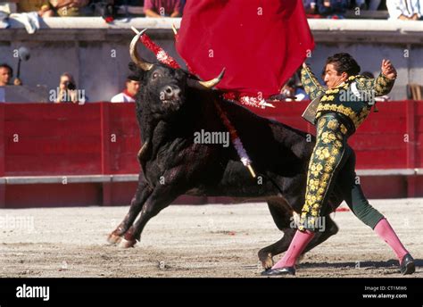 Matador fights bull hi-res stock photography and images - Alamy