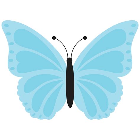 A Blue Butterfly On A White Background