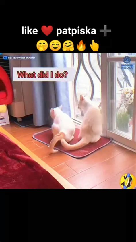 Kiyna Vi Kiyana Vi Naked Discover