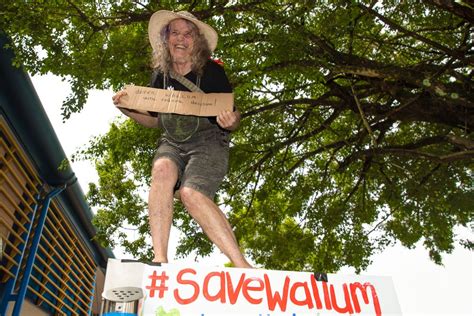 Fight To Save Wallum Continues Despite Council Blow The Echo