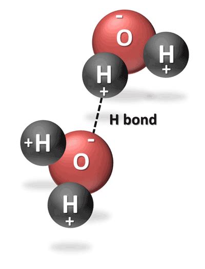 7 Hydrogen Bonds Wallpaper Ideas