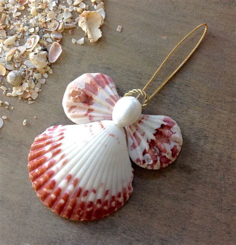 Calico Angel Shell Crafts Diy Shell Crafts Seashell Crafts