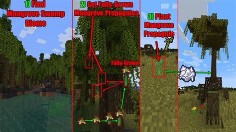 How To Easily Grow Mangrove Trees In Minecraft