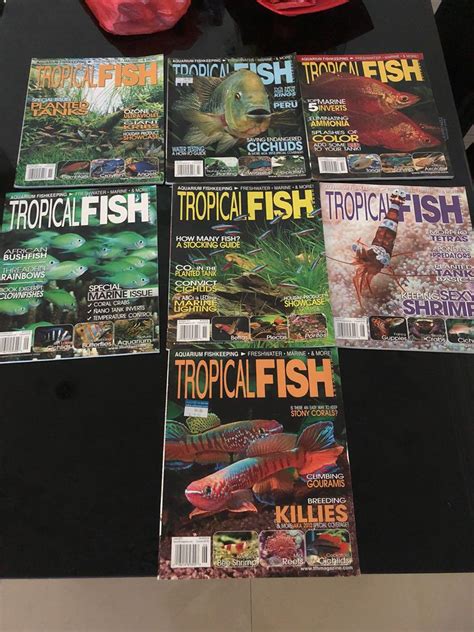 Tropical Fish Hobbyist Magazine Books Stationery Magazines Others