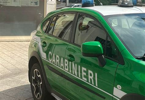 Controlli Carabinieri Forestali A Tutela Parco Nazionale Aspromonte