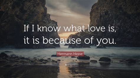 Hermann Hesse Quote “if I Know What Love Is It Is Because Of You”