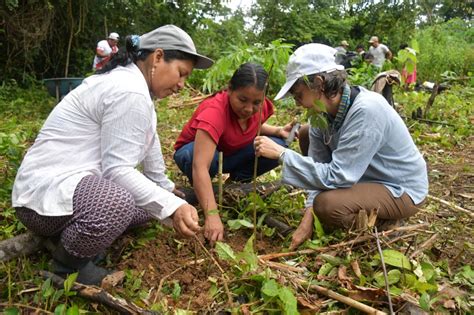 Comunidades Nativas Y Agr Colas De Madre De Dios Revaloran Sus Semillas