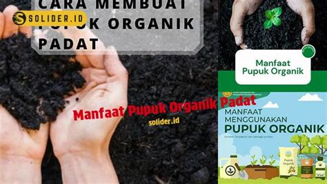 Ungkap Manfaat Pupuk Organik Padat Yang Jarang Diketahui Solider