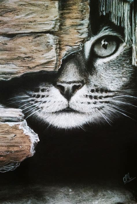 Charcoal Drawing Ideas Animals Marjorie Wei