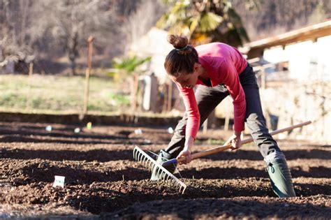 Soil Preparation For Gardening