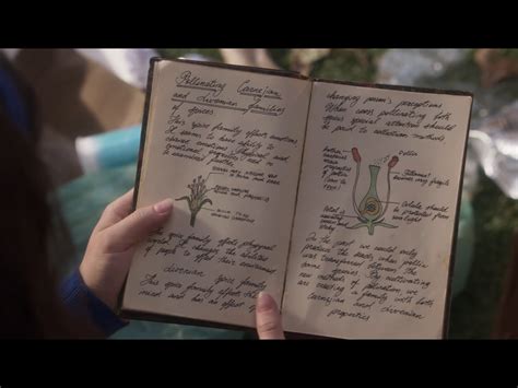 Gina Silvers | Just add magic, Book of shadows, Ads