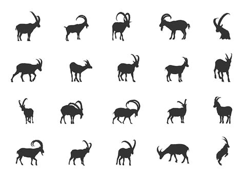 Premium Vector Ibex Silhouette Ibex Goat Silhouette Alpine Ibex