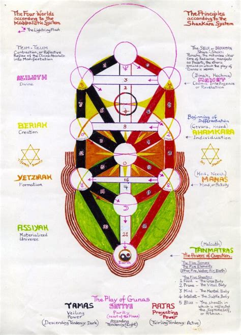 Tree Of Life Showing The Indian Shankara Model Of The Three Gunas