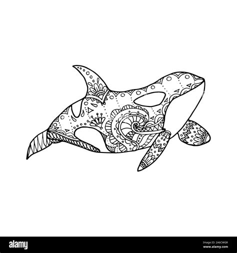 Orca Drawing High Resolution Stock Photography and Images - Alamy