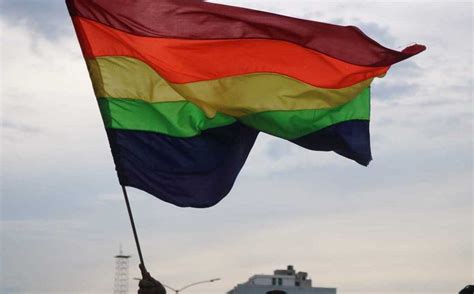 Mes De Orgullo Gay En Guanajuato Grupo Milenio