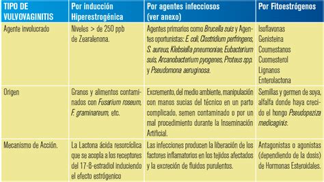 Bases técnicas para realizar un diagnóstico diferencial de