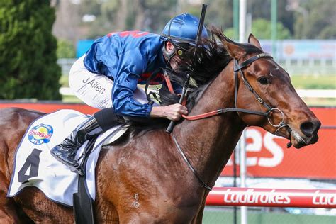 2023 Underwood Stakes Day Tips Preview Neds Blog