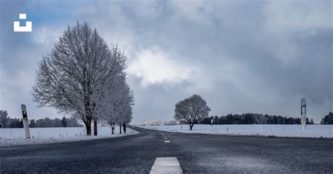 A snowy road with trees on both sides photo – Free Image on Unsplash