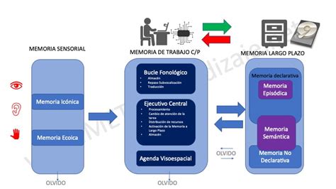 Método Chunking Técnica Efectiva Para Mejorar la Memoria Meta