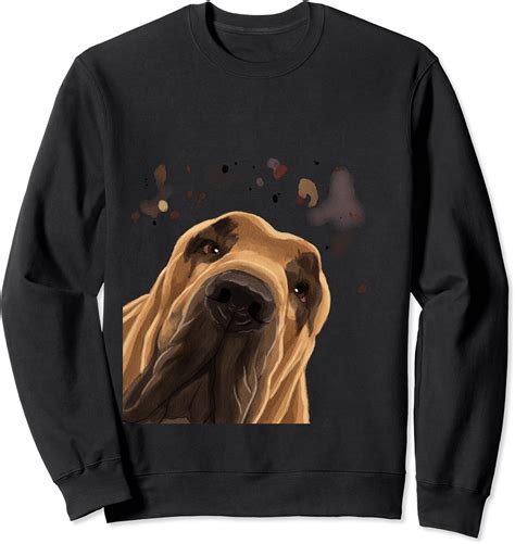 Hund Bloodhound Sweatshirt Amazonde Fashion