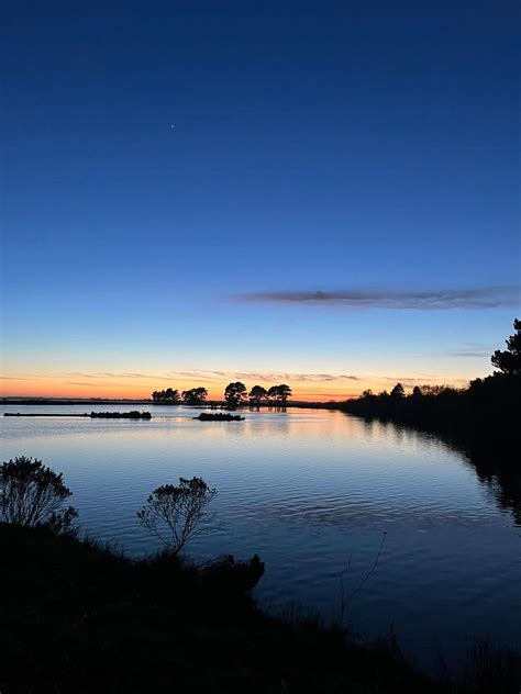 A Wildlife Journey through the Arcata Wildlife Sanctuary | Wildtrail