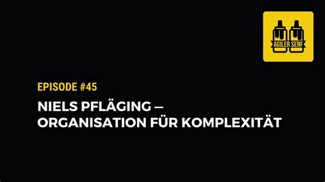 45 Niels Pfläging Dezentral agil und demokratisch Mit Beta