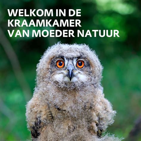 Kraamkamer Moeder Natuur RoutesinUtrecht