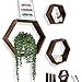 Tablettes Murales Rustiques Hexagonales Flottantes Lot De Grandes