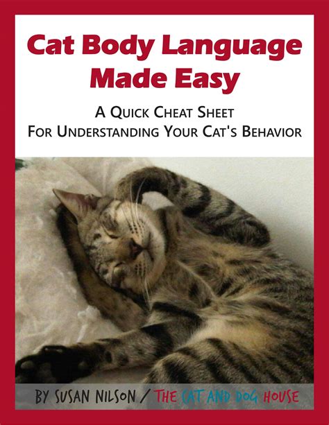 Cat Body Language Made Easy A Quick Visual Cheat Sheet To