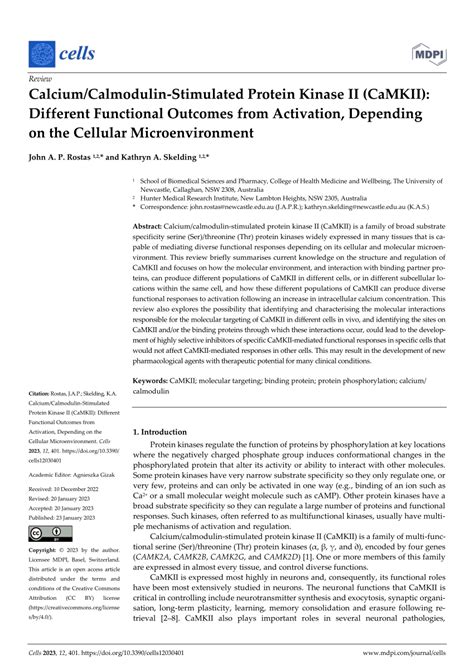 Pdf Calcium Calmodulin Stimulated Protein Kinase Ii Camkii