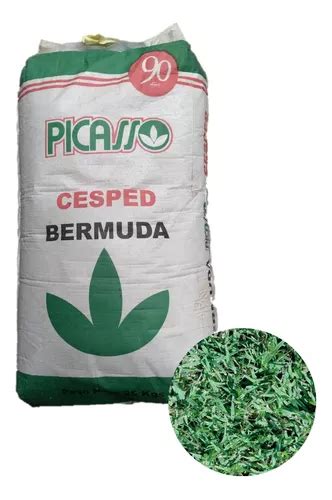 Semillas De C Sped Picasso Bermuda Chipica Kg Env O Gratis