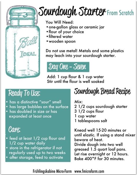 Sourdough Starter Instructions Printable - Printable Word Searches