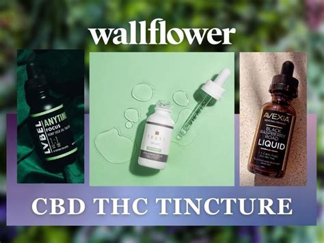 Guide To Cbd And Thc Tincture What Are They And How Do They Work