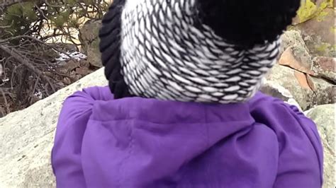 Colorado Campfire Search Xvideos