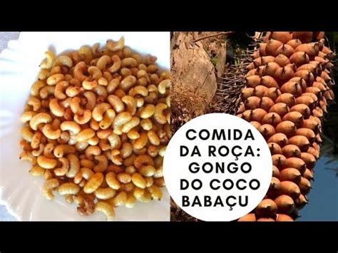 Farofa De Larvas De Gongo Do Coco Baba U Youtube