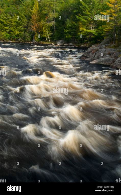 Penobscot River, Penobscot River Corridor, Maine Stock Photo - Alamy