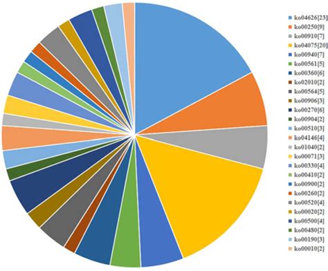 Distribution of each KEGG pathway number against the KEGG database ...