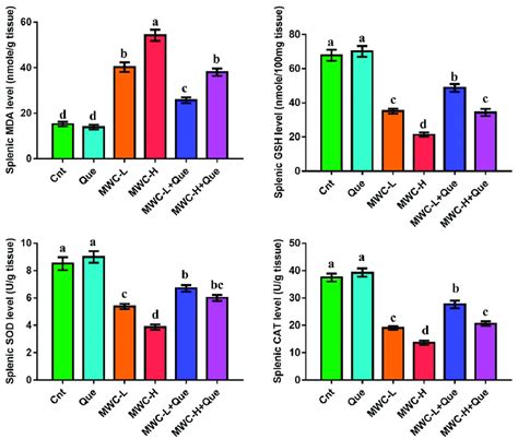 Effect Of MWCNTs And Or Quercetin On Splenic Antioxidants And Oxidative