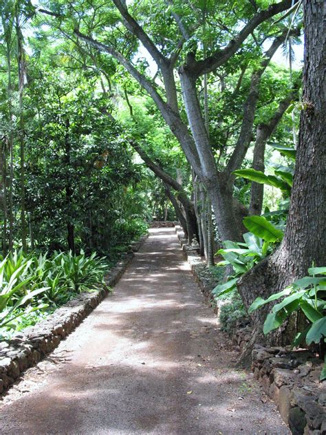 That allerton garden design features a surprising hidden statue 2