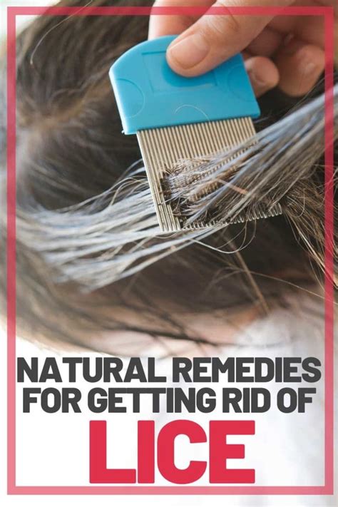 Get Rid Of Lice For Good 10 Simple Remedies That Work